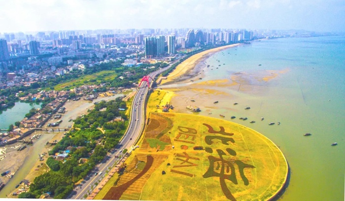 你好环广西北海高德港花海喜迎环广西