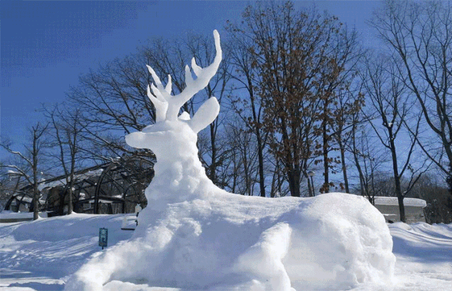 沿路雪雕冰雪的魅力,冰爬犁的乐趣,在北方的是极具魅力的.