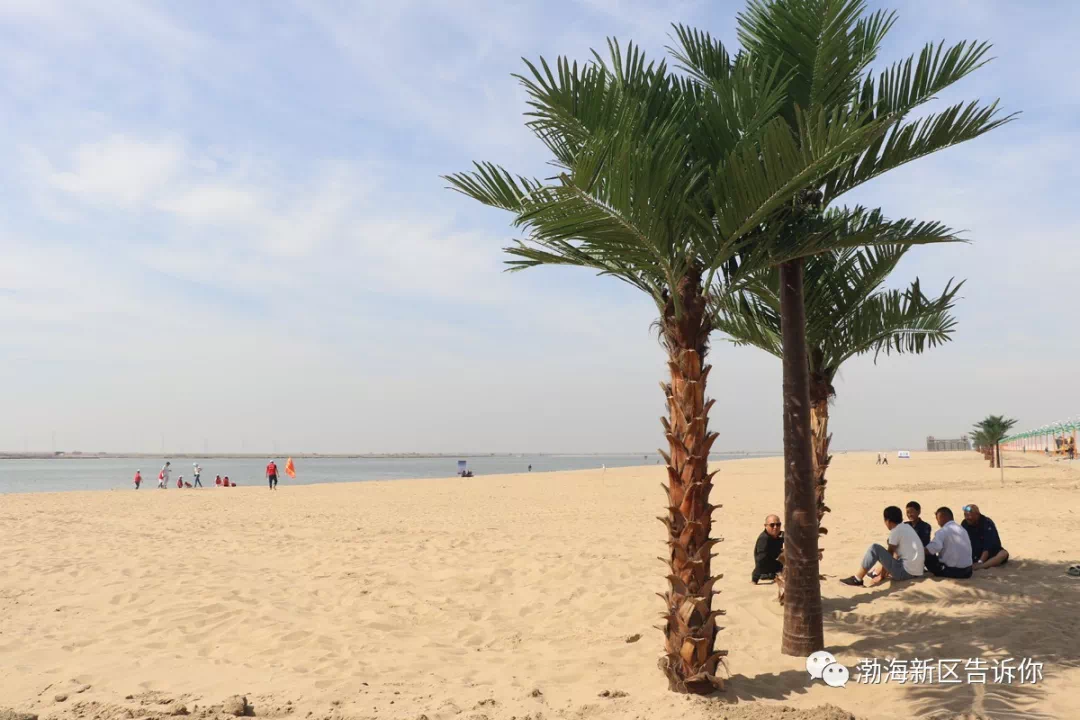 到东渡码头乘船出海,张网捕鱼,到贝壳湖景区看湖光塔影,到沧州黄骅港