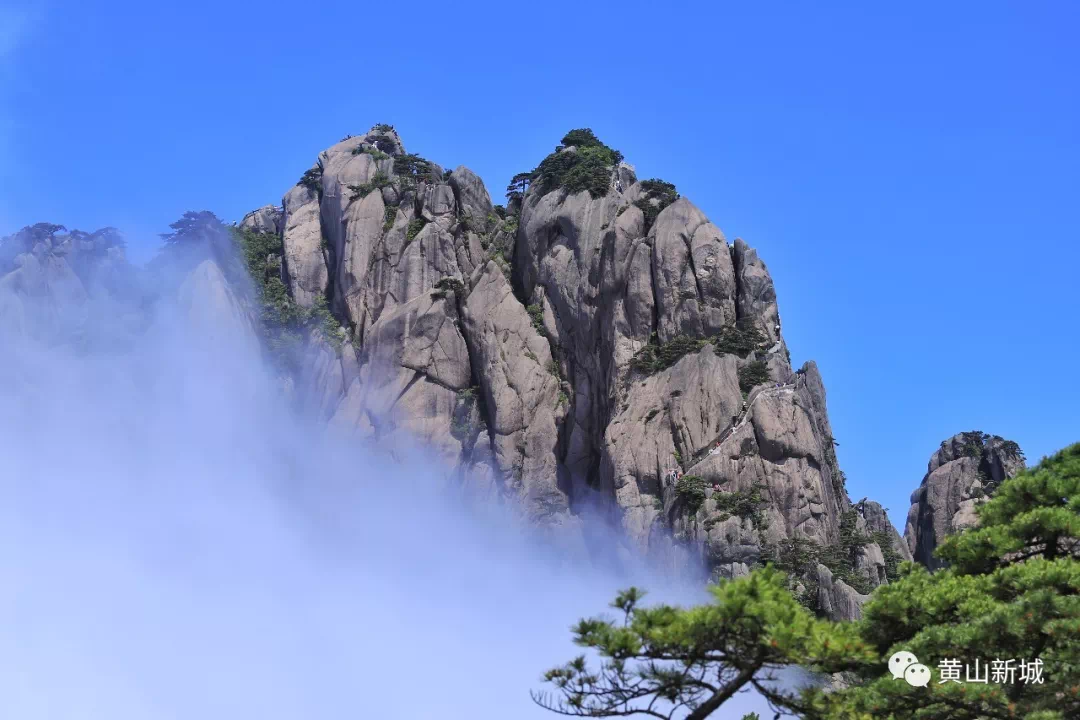 黄山风景区以云海,日出,奇松,怪石,冬雪,温泉等"五绝"闻名天下,黄山的