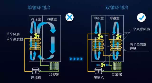 不串味当然更新鲜 双循环的每个 蒸发器分管区域小 制冷更快效率高