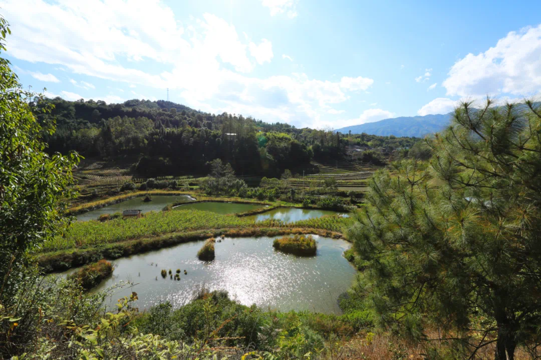 腾冲华侨城石墙温泉项目自然资源独特,位于界头镇石墙村,东靠高黎贡