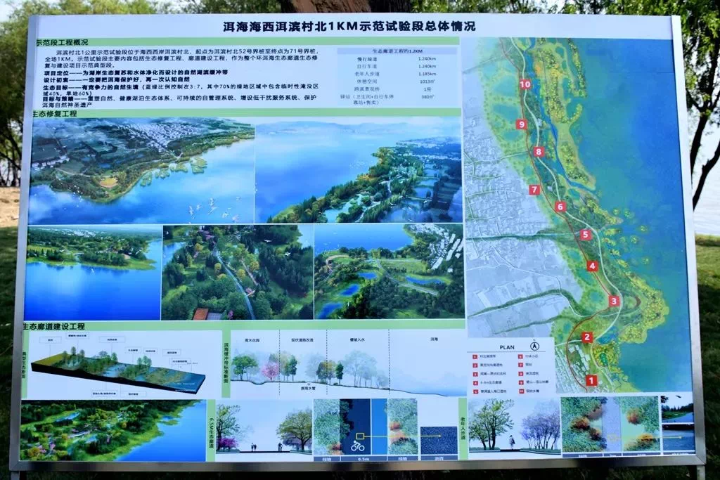 大理 将继续推进湖滨缓冲带和生态廊道建设等工作