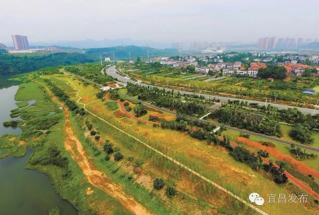 柏临河湿地公园城东公园鸟瞰图.杨柳之求雨台公园.