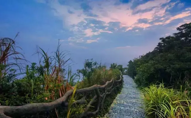 漫步塘朗山,每一步都是至美的风景