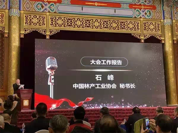 中国林产工业协会秘书长兼法人代表石峰作《中国林产工业协会第五