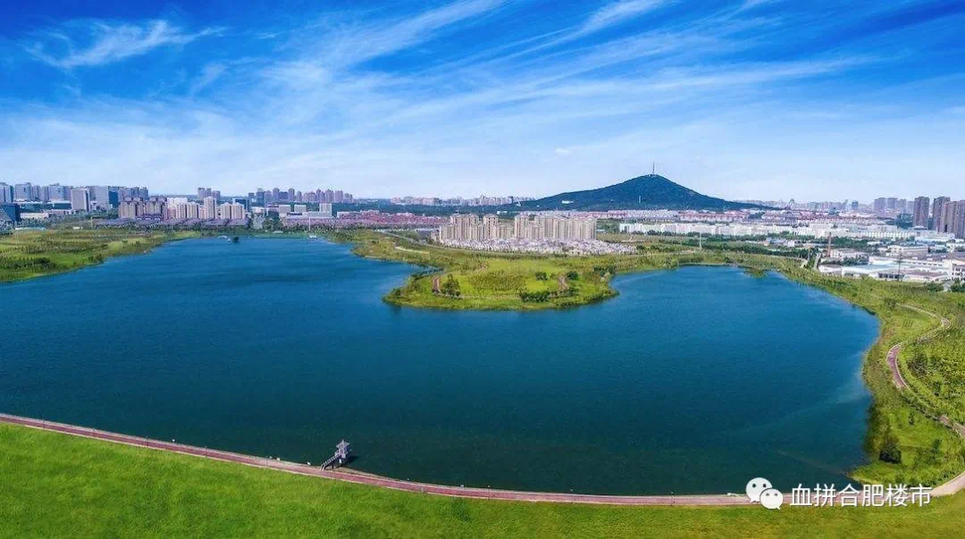 合肥跃式洋房能有多完美答案就在蜀西湖畔