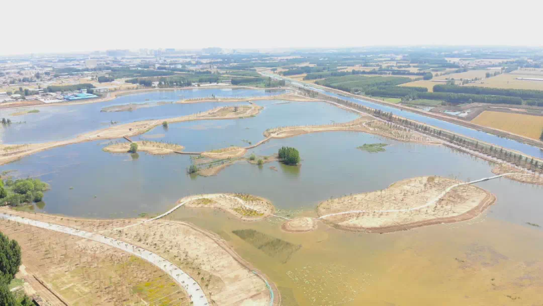 济宁高新区十里湖生态湿地公园华丽"变身"!