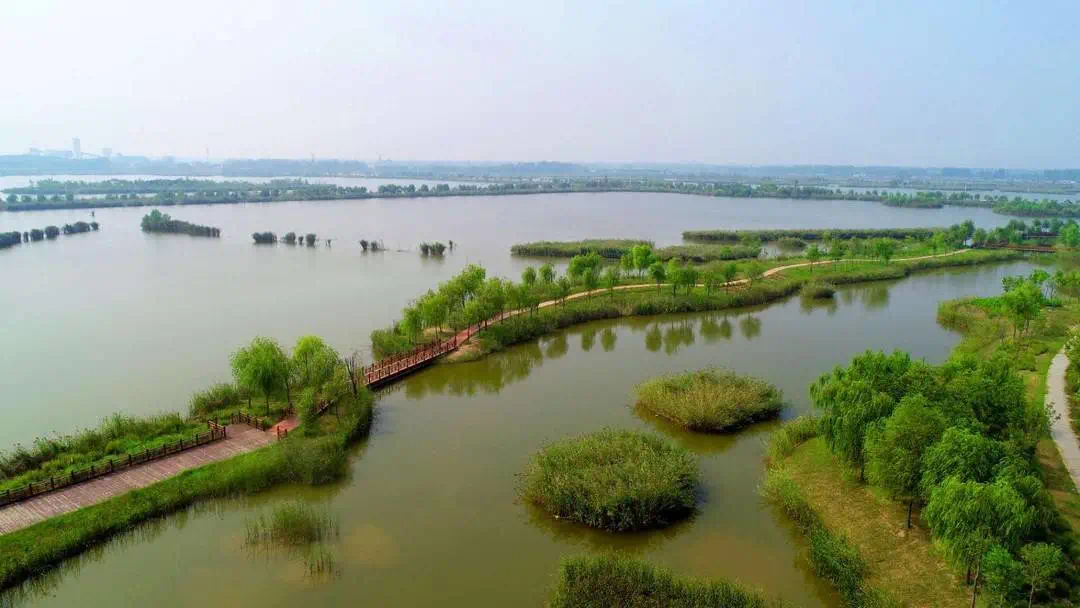 市黄墩湖湿地自然保护区徐州新沂骆马湖湿地自然保护区小伙伴们咱徐