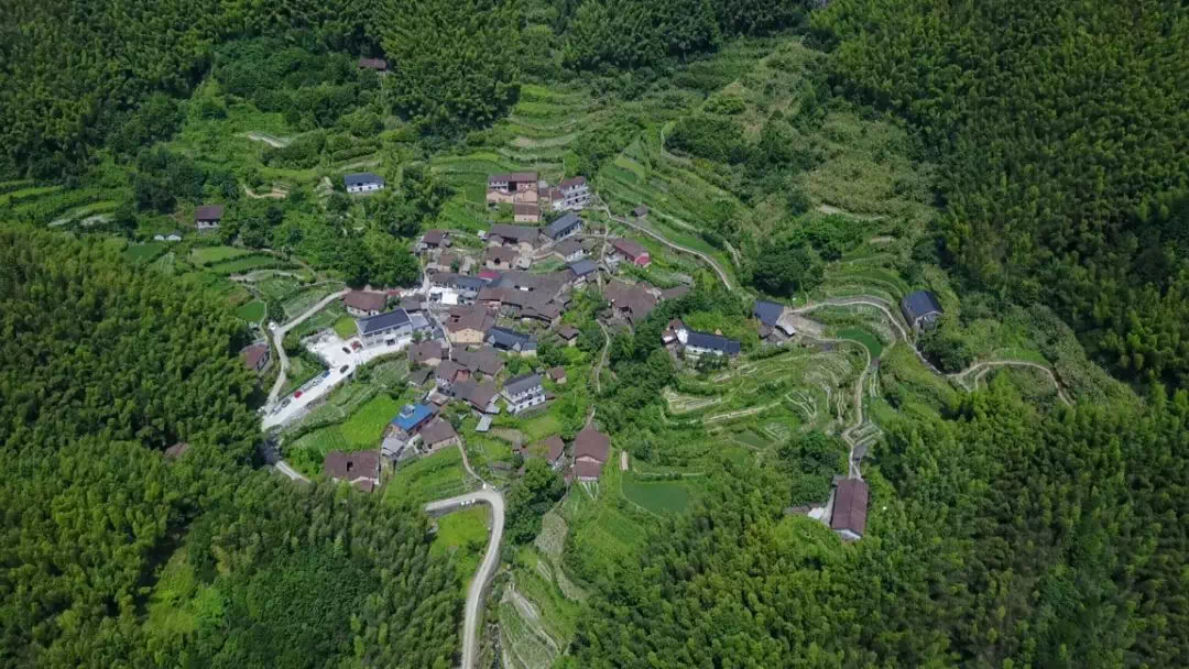 王坞村(传统)湖山乡黄泥岭村(传统)遂昌县新路湾镇蕉川村(传统)庆元县