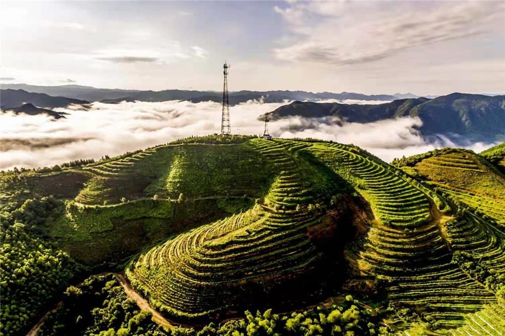 双牌县上梧江瑶族乡云台山茶场美丽的风景