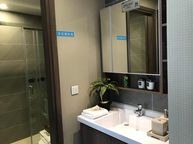卧室南面为干湿分离卫浴,但洗手台镜子正对着卧室门口,可能会有买家