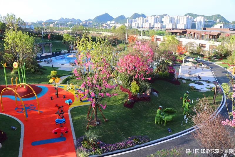 碧桂园·印象花溪实景示范区华美绽放暨学校签约仪式成功举行