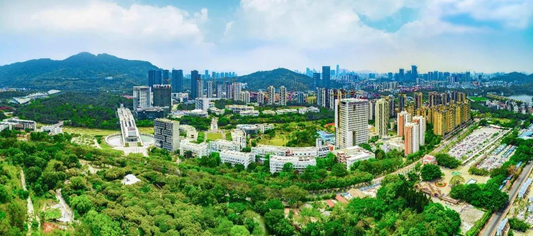 这是西丽的深圳大学城 3平方公里