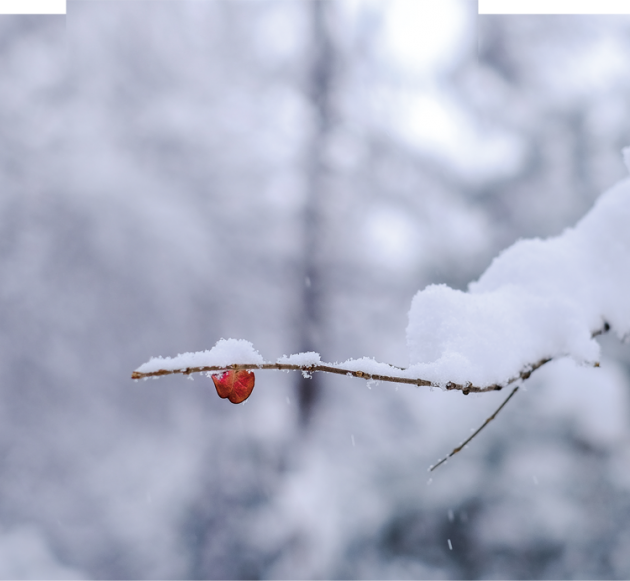 东鹏世界印象x周炯焱雪色系列丨秉承自然雪色意境