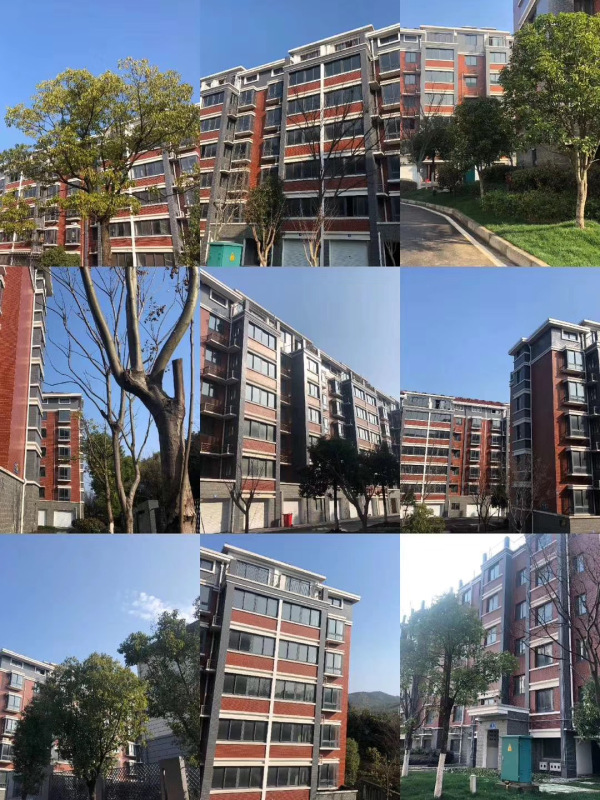首页无锡宜兴太华景苑售楼处太华景苑售楼处电话