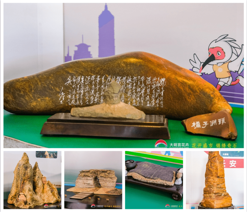 北二环大明宫花卉市场璀璨绽放
