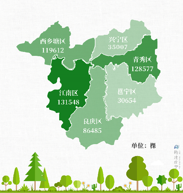 行道树56万棵桥梁342座南宁城市建设成效显著