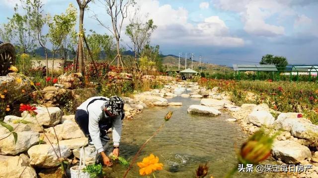 华中小镇《采薇园记》