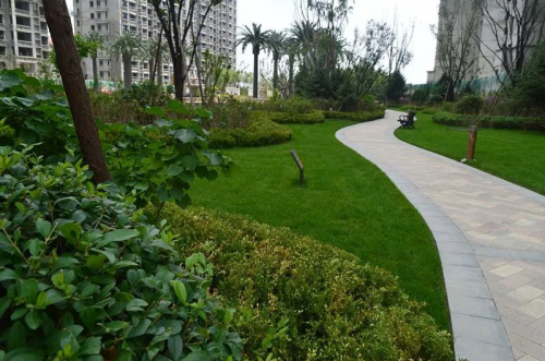 欧式皇家园林,由专业设计团队设计,因地制宜精心挑选名贵植物,每天
