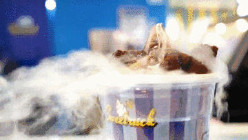 暑期冰爽大狂欢恒大许昌首届冰雕展乐翻天