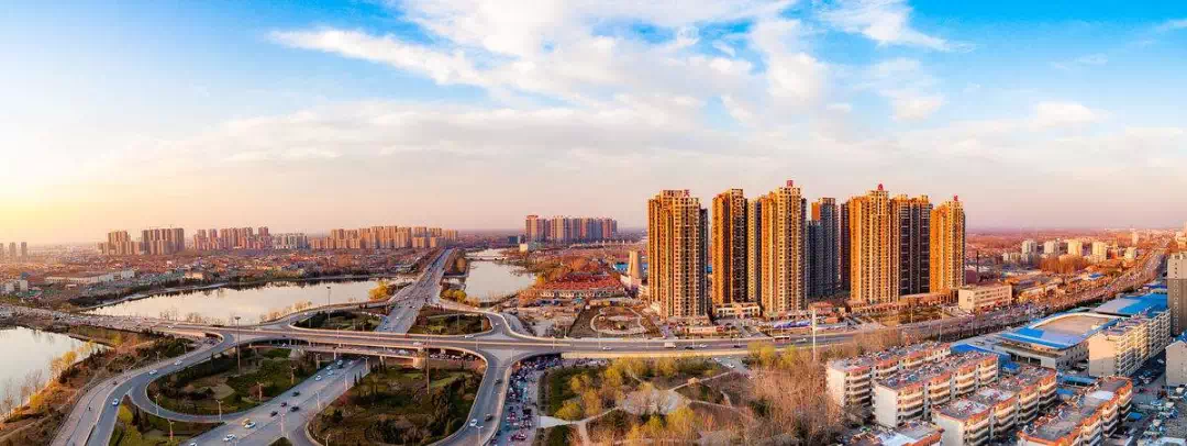 菏泽要建设成世界牡丹之都!每个县和中心镇都要建牡丹