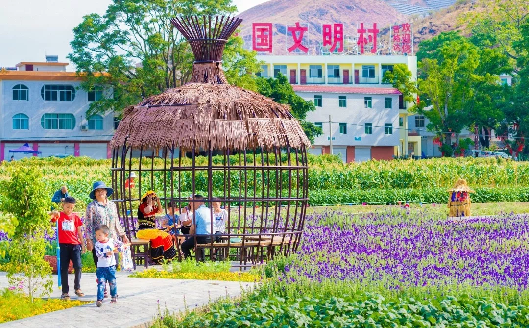 休闲长廊四周,鸡冠花,雏菊,向日葵在冬季的阳光下盛开,红格镇昔格达村