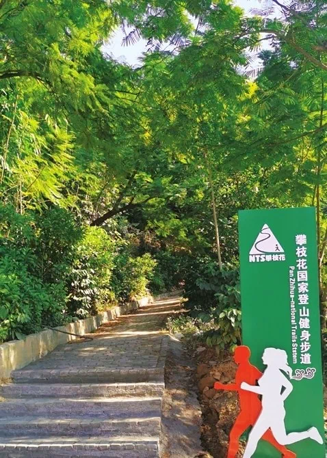 攀枝花国家登山健身步道二期通过验收明年登山步道将贯穿全市