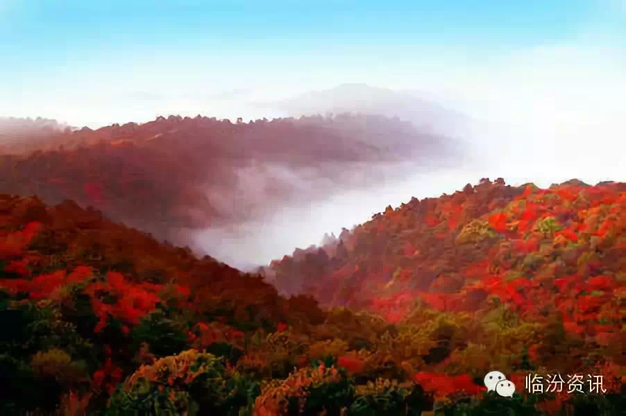 资讯安泽县红叶岭风景区位于县城西北18公里处,海拔1301米,景区总