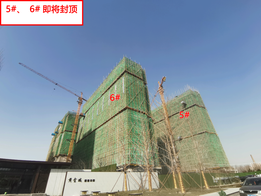 橡树·黄金城工程进度抢先看!建面约121-191㎡房源在售中