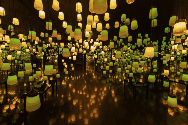 抖音网红动态壁纸图片