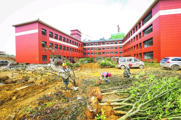 新区附属高中(贵州师范大学附属中学)是贵安新区引进的又一所优质学校