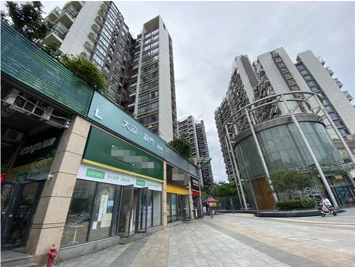 深圳新政满月投资客离场,购房者:你以为我缺的是房票