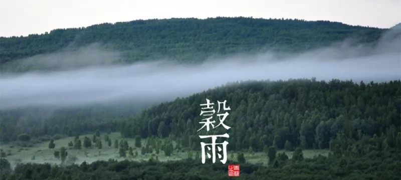 六节气春季最后一个节气降雨明显增多故为谷雨,暖天至,寒潮止雨生百谷