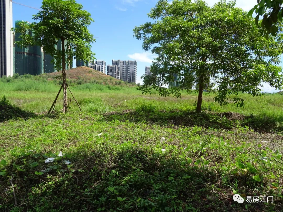 台城南新区在台山的热度比肩滨江在江门受房企青睐的程度.