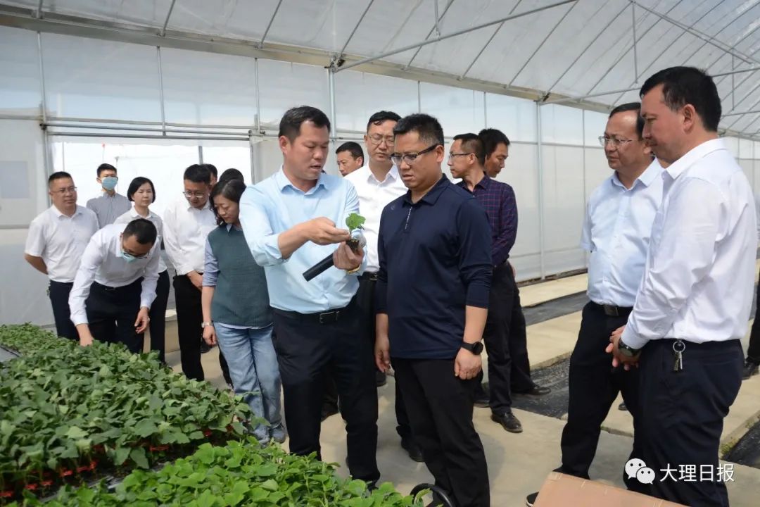 刘占华,管金堂,周武军,州级相关部门及祥云县,弥渡县主要负责同志等