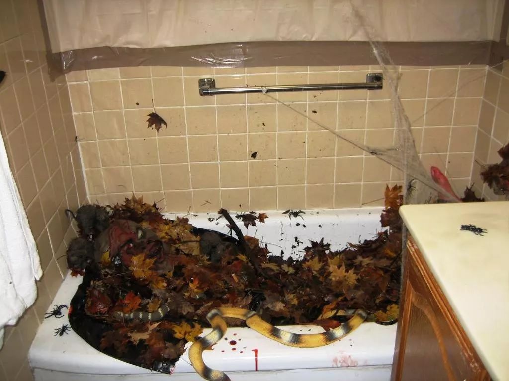 在浴缸里放腐烂的鬼怪和一条蛇,还有蜘蛛网,天哪!