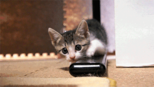 它也可以优雅神秘,陪伴你度过惬意的休闲时光.