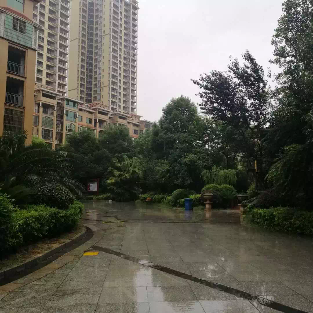 暴雨过后衡阳这个小区火了