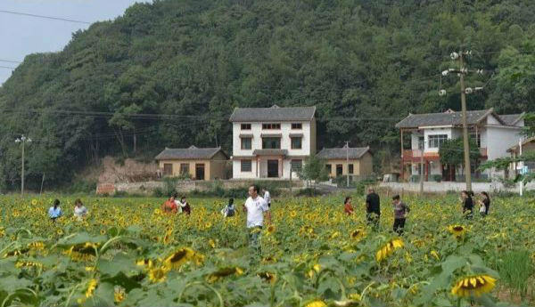 (图片源自红网) 阳卫国首先来到湘潭市湘潭县昭山镇七星村,考察了解该