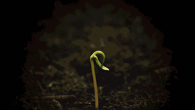 大牌驾到丨国美电器签约入驻万诚国际中心