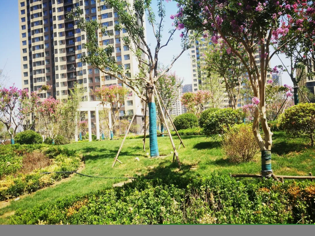 大业锦绣阳光城:为什么越来越多有钱人,宁愿住高层也不愿买别墅