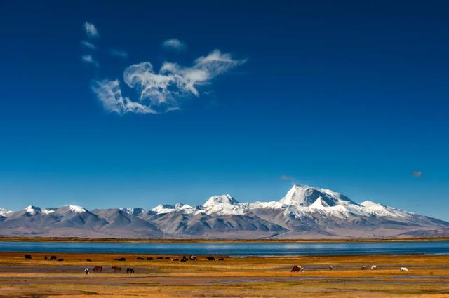 西藏产业转型关键时期， "地球第三极"如何发挥"杠杆作用"
